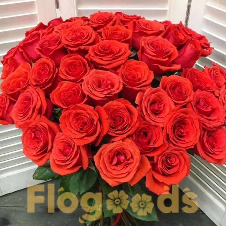 51 красная роза за 19 590 руб.